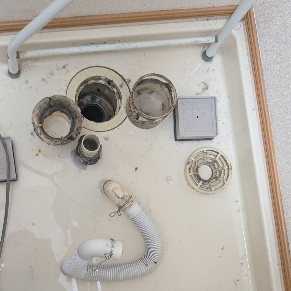 洗濯機の洗濯パン・排水トラップを分解した状態。汚れや詰まりが確認できる